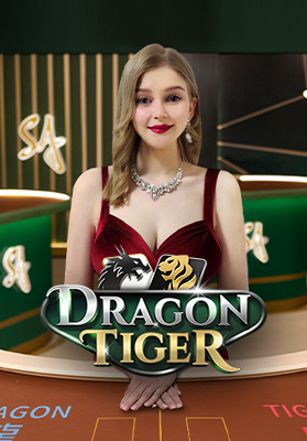 D Dragon Tiger
